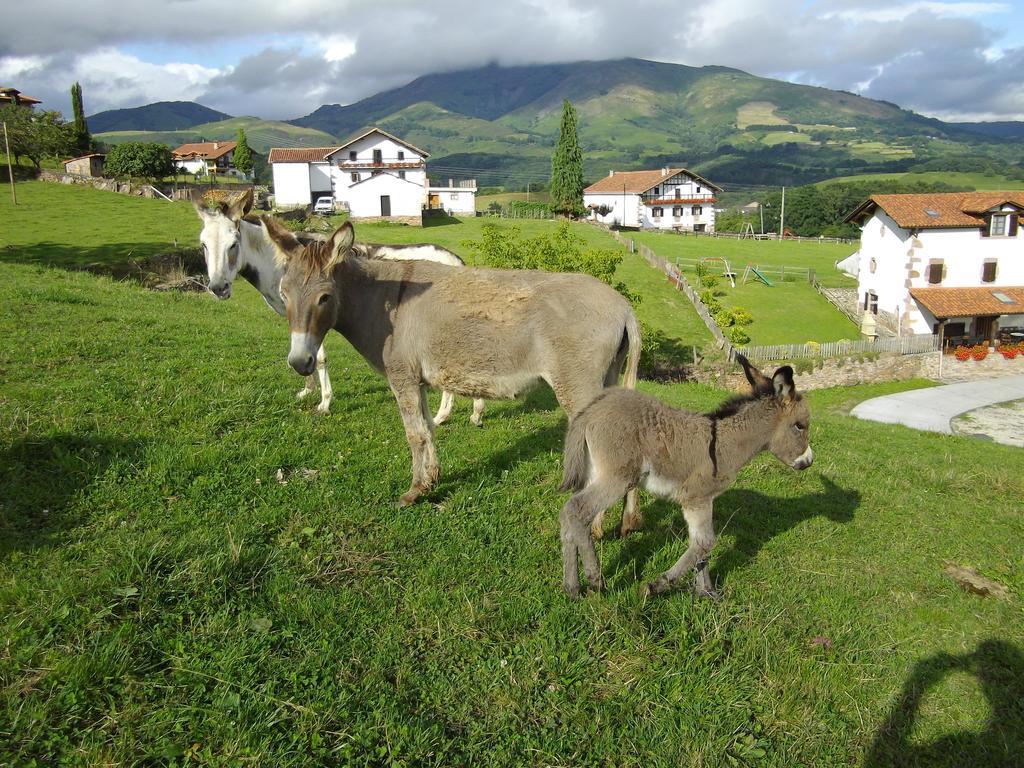 Casa Rural Gananea Zuaztoy de Azpilcueta Стая снимка